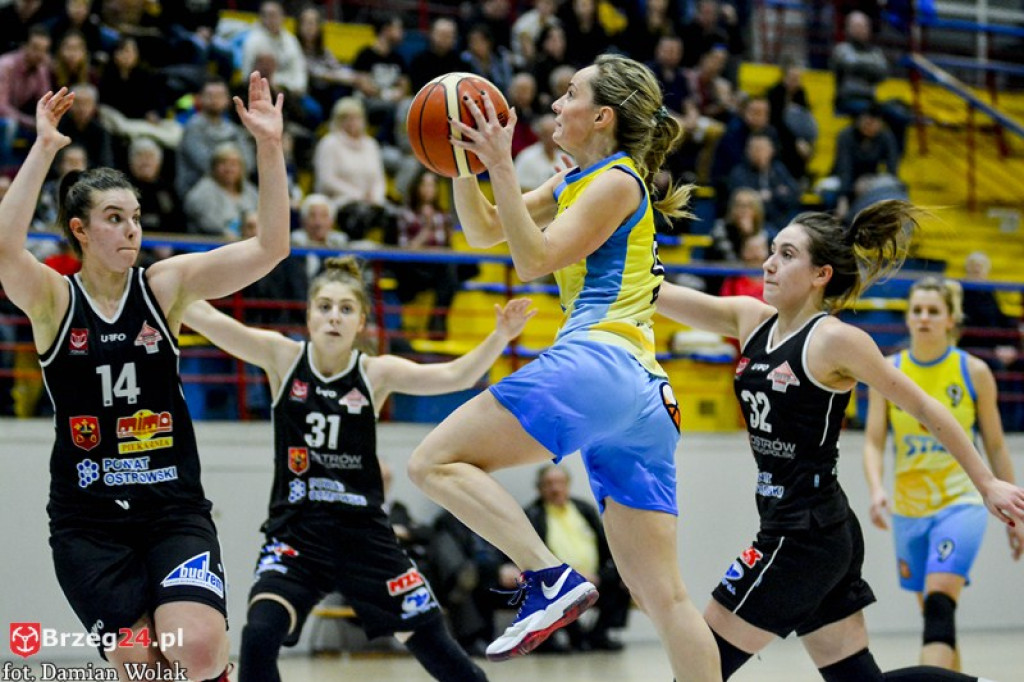 Ostrovia za mocna. Porażka KSK Stal Brzeg w hicie kolejki [galeria]