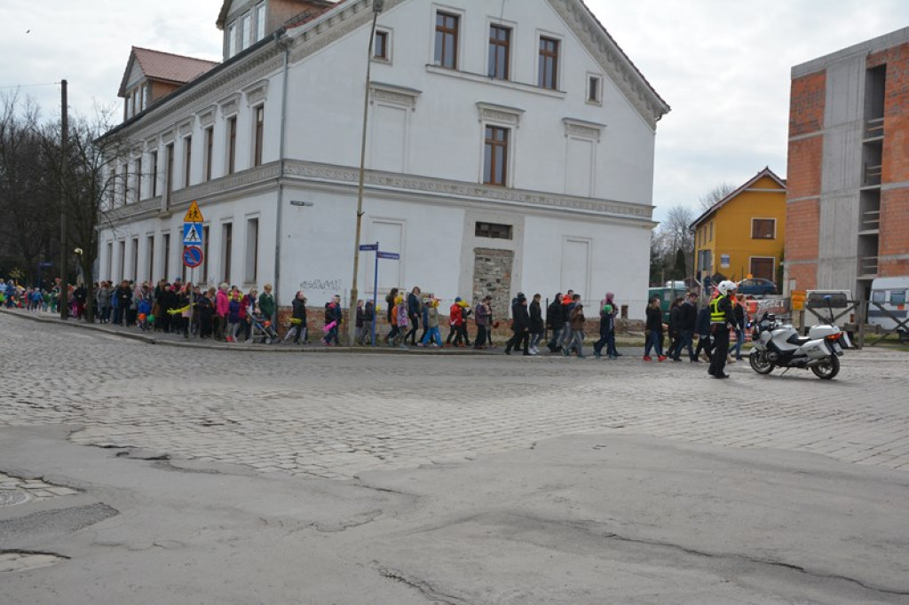 Przegonili zimę, powitali wiosnę! Ulicami Brzegu przeszedł 3. Integracyjny Marsz [ZDJĘCIA + VIDEO]