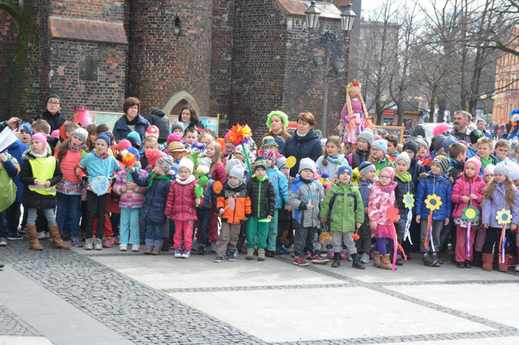 Przegonili zimę, powitali wiosnę! Ulicami Brzegu przeszedł 3. Integracyjny Marsz [ZDJĘCIA + VIDEO]