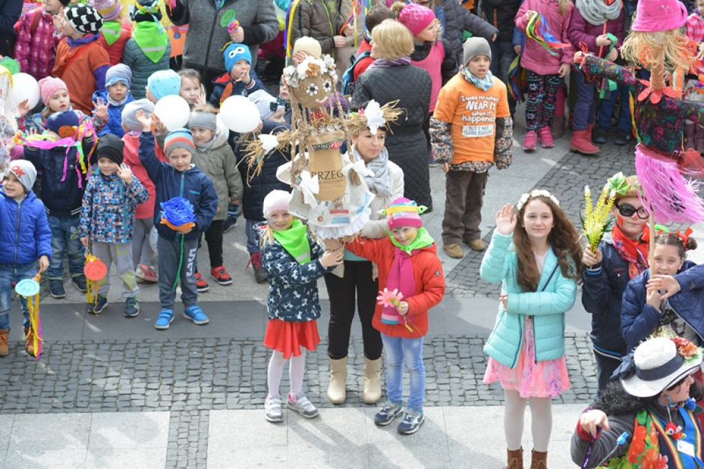Przegonili zimę, powitali wiosnę! Ulicami Brzegu przeszedł 3. Integracyjny Marsz [ZDJĘCIA + VIDEO]
