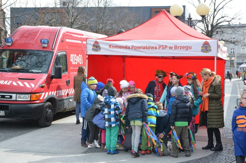 Przegonili zimę, powitali wiosnę! Ulicami Brzegu przeszedł 3. Integracyjny Marsz [ZDJĘCIA + VIDEO]