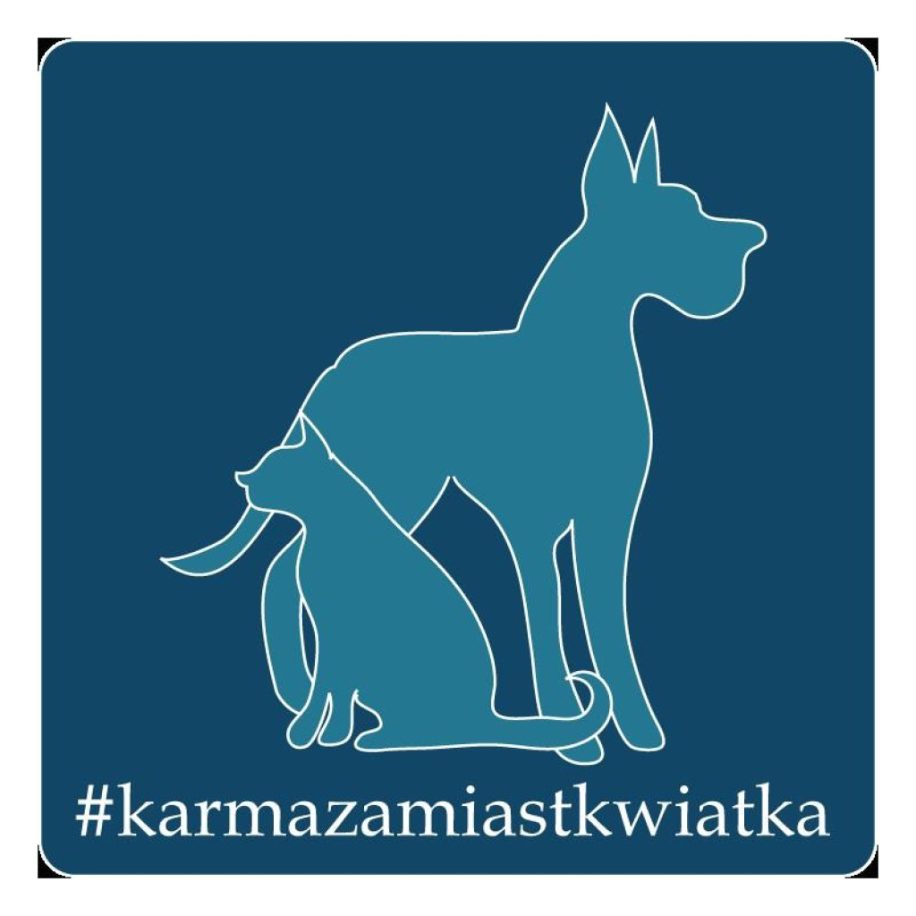 Warsztaty rękodzieła zakończone. Przed nami kolejne spotkania autorskie w Bibliotece w Grodkowie