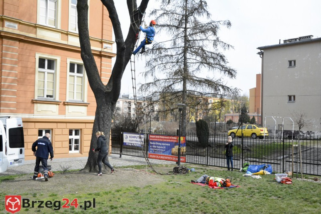 II Mistrzostwa Pierwszej Pomocy o Puchar Dyrektora ZSM w Brzegu