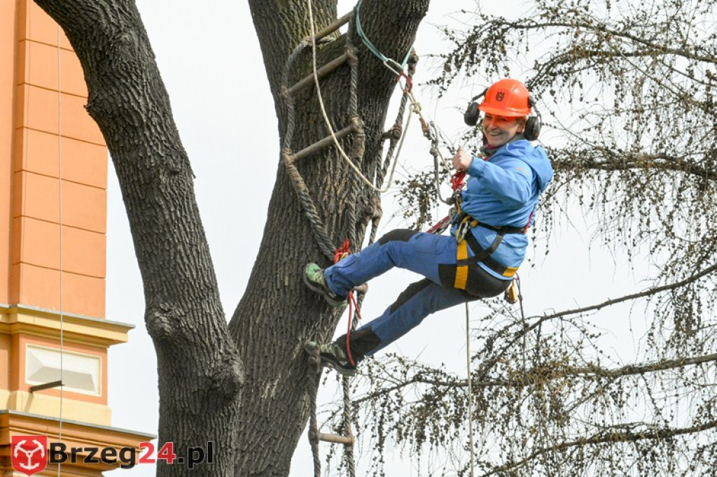 II Mistrzostwa Pierwszej Pomocy o Puchar Dyrektora ZSM w Brzegu