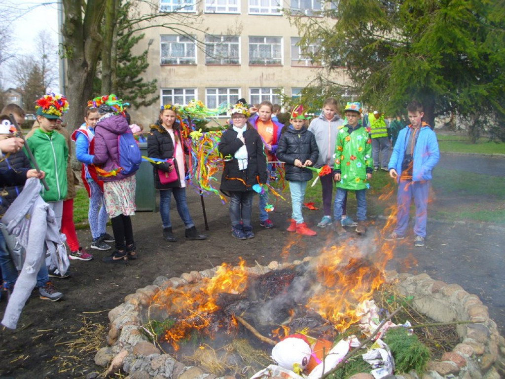Wiosenne pozdrowienia z PZSP w Olszance