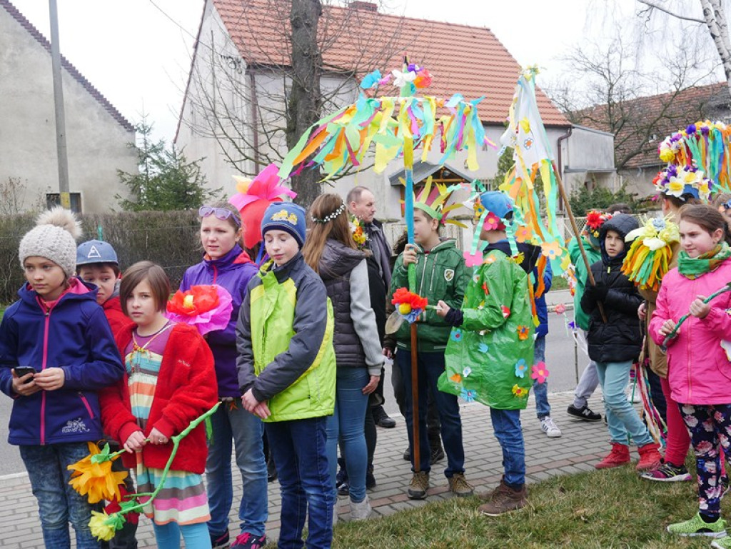 Wiosenne pozdrowienia z PZSP w Olszance