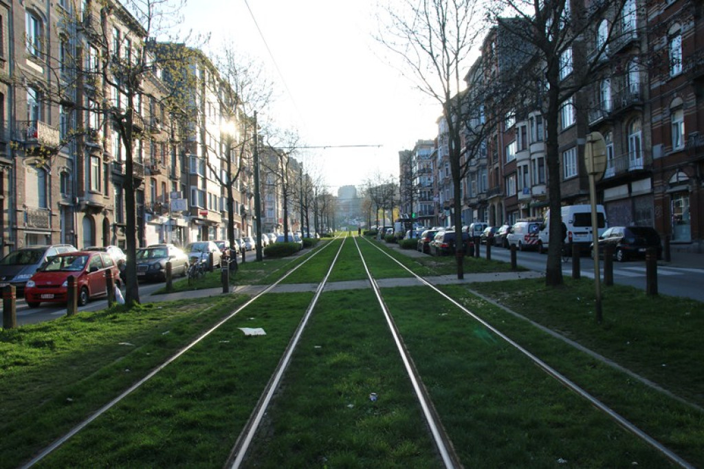 Bruksela robi wrażenie. Uczeń GP 2 w Grodkowie Kajetan Kowal w stolicy Europy