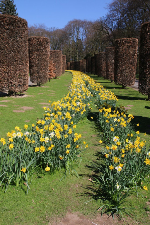 Bruksela robi wrażenie. Uczeń GP 2 w Grodkowie Kajetan Kowal w stolicy Europy