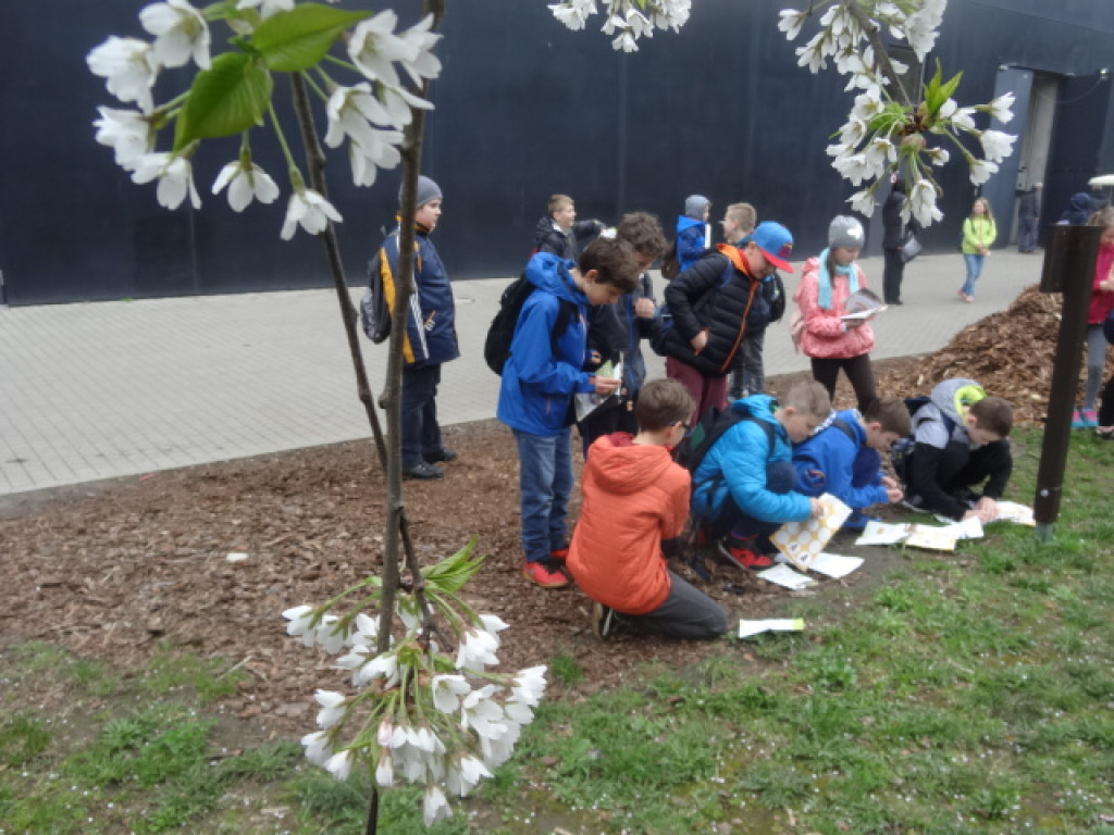 Bioodkrywcy z Ósemki