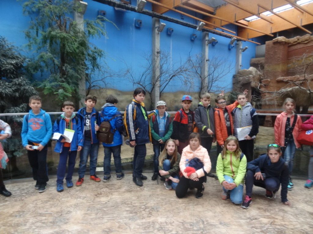 Bioodkrywcy z Ósemki