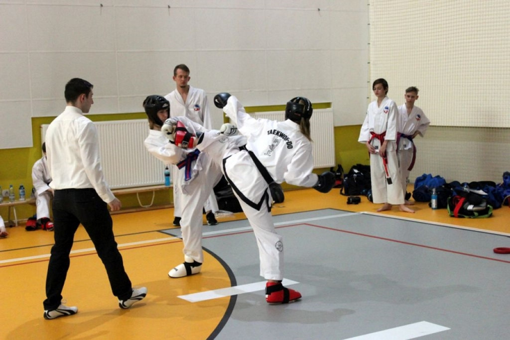 100 medali zawodników z Opolskiego Klubu Sportów Walki na MP 2017 w Taekwon-do