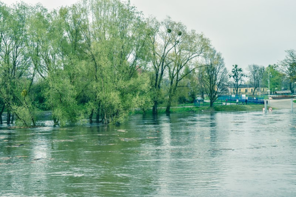 Stan ostrzegawczy z tendencją rosnącą na Odrze w Brzegu