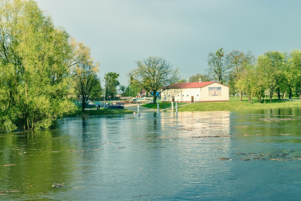 Stan ostrzegawczy z tendencją rosnącą na Odrze w Brzegu