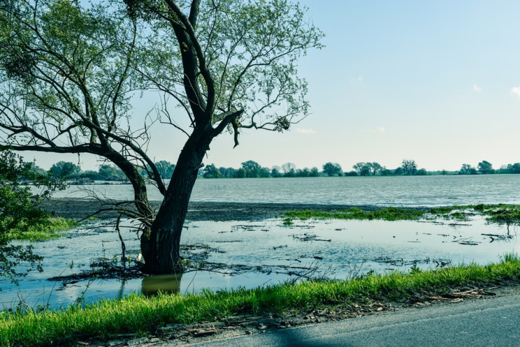 Przez Brzeg przechodzi fala wezbraniowa. Woda może spowodować straty finansowe