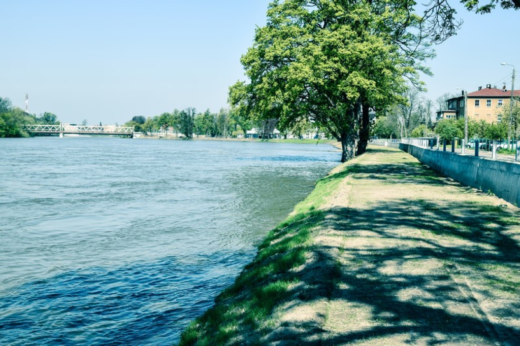 Przez Brzeg przechodzi fala wezbraniowa. Woda może spowodować straty finansowe