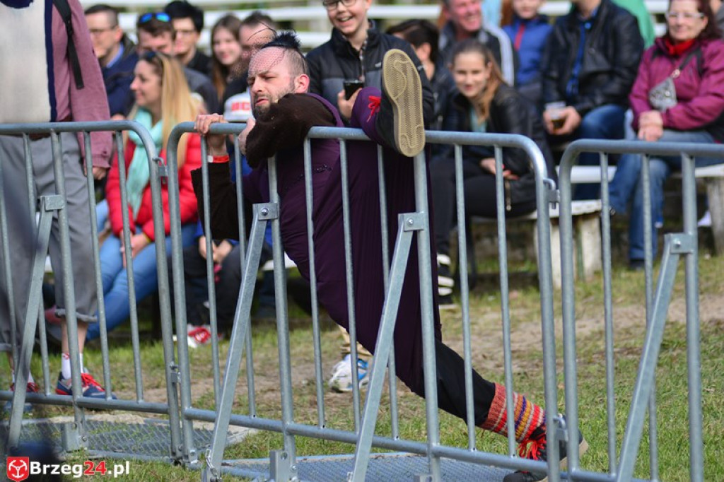 Dni Księstwa Brzeskiego dzień 2 [fotorelacja]