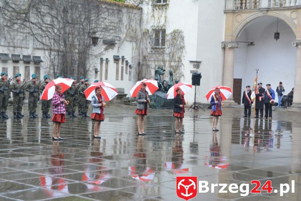 Dni Księstwa Brzeskiego 2017 - dzień trzeci - Święto Flagi RP [FOTORELACJA]