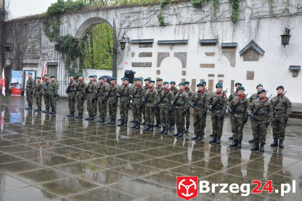 Dni Księstwa Brzeskiego 2017 - dzień trzeci - Święto Flagi RP [FOTORELACJA]