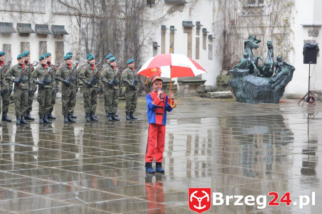 Dni Księstwa Brzeskiego 2017 - dzień trzeci - Święto Flagi RP [FOTORELACJA]