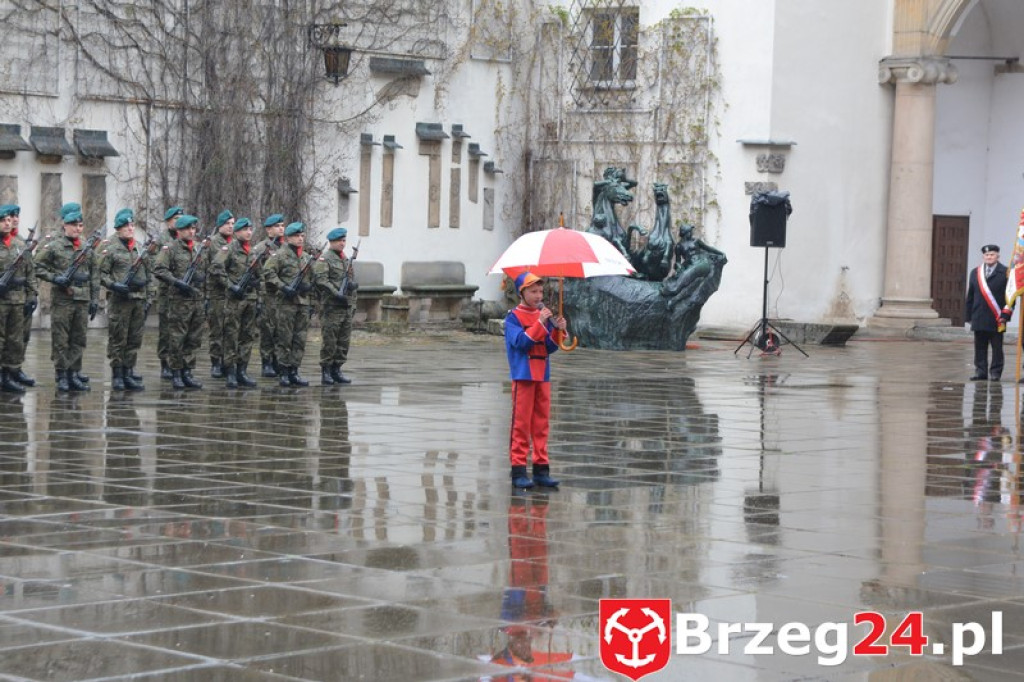 Dni Księstwa Brzeskiego 2017 - dzień trzeci - Święto Flagi RP [FOTORELACJA]