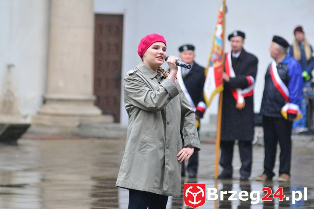 Dni Księstwa Brzeskiego 2017 - dzień trzeci - Święto Flagi RP [FOTORELACJA]