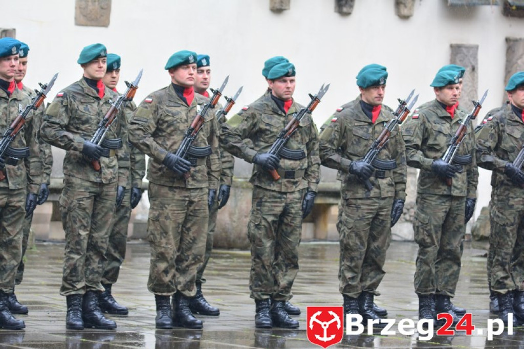 Dni Księstwa Brzeskiego 2017 - dzień trzeci - Święto Flagi RP [FOTORELACJA]