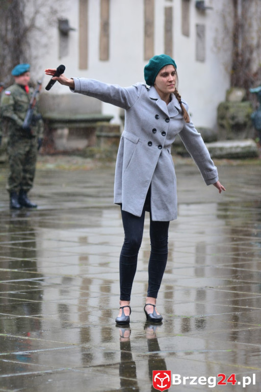 Dni Księstwa Brzeskiego 2017 - dzień trzeci - Święto Flagi RP [FOTORELACJA]