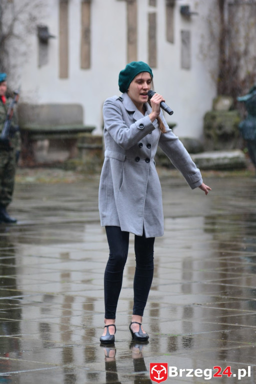 Dni Księstwa Brzeskiego 2017 - dzień trzeci - Święto Flagi RP [FOTORELACJA]