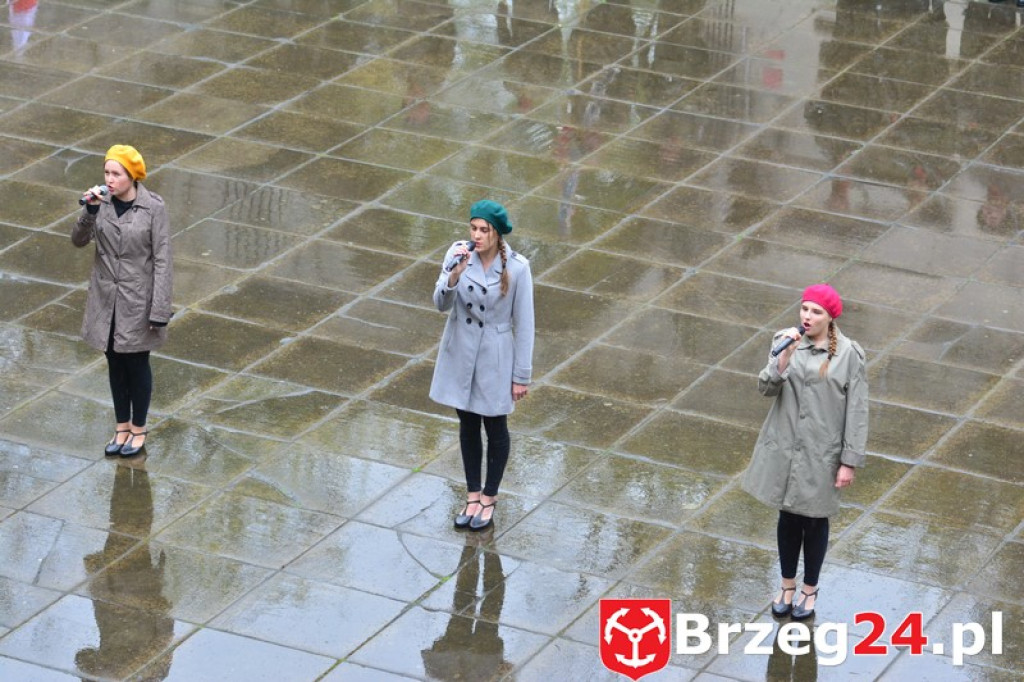 Dni Księstwa Brzeskiego 2017 - dzień trzeci - Święto Flagi RP [FOTORELACJA]