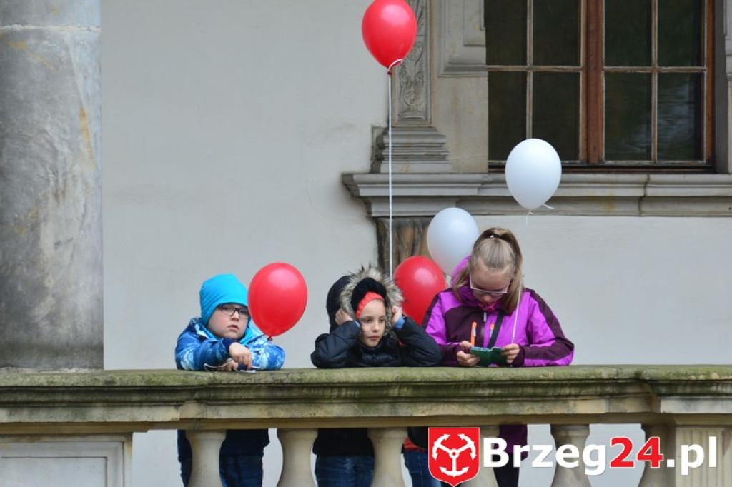 Dni Księstwa Brzeskiego 2017 - dzień trzeci - Święto Flagi RP [FOTORELACJA]