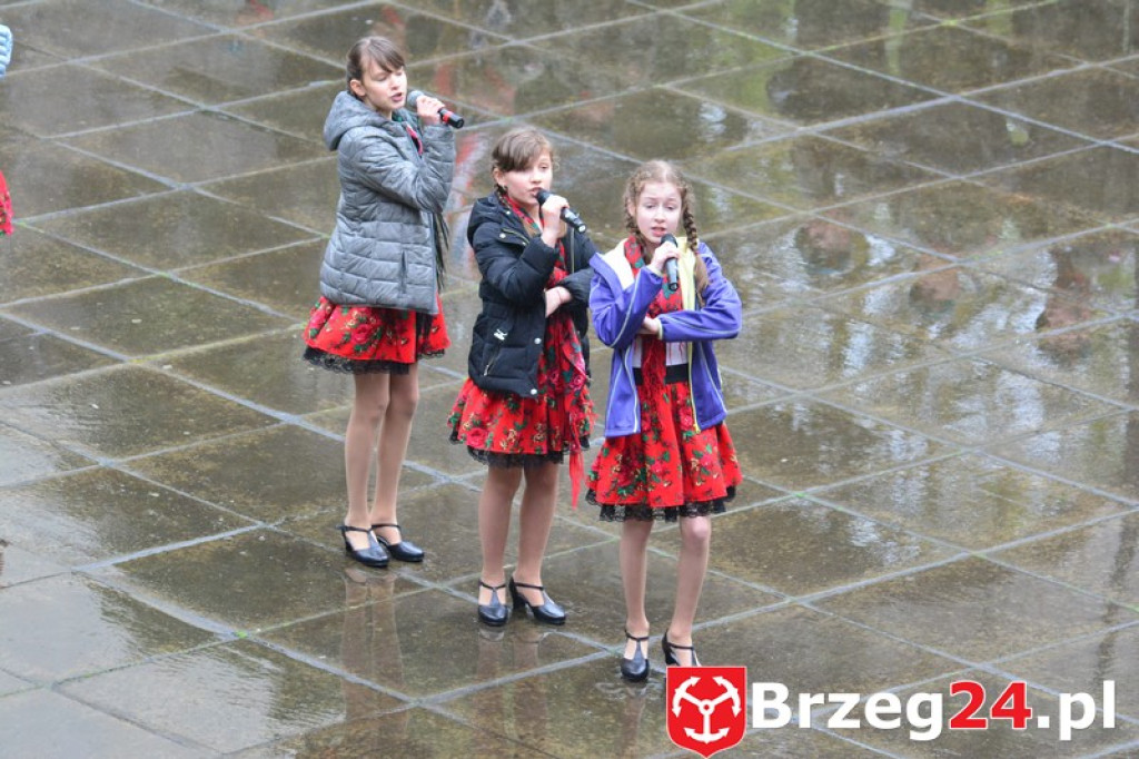 Dni Księstwa Brzeskiego 2017 - dzień trzeci - Święto Flagi RP [FOTORELACJA]