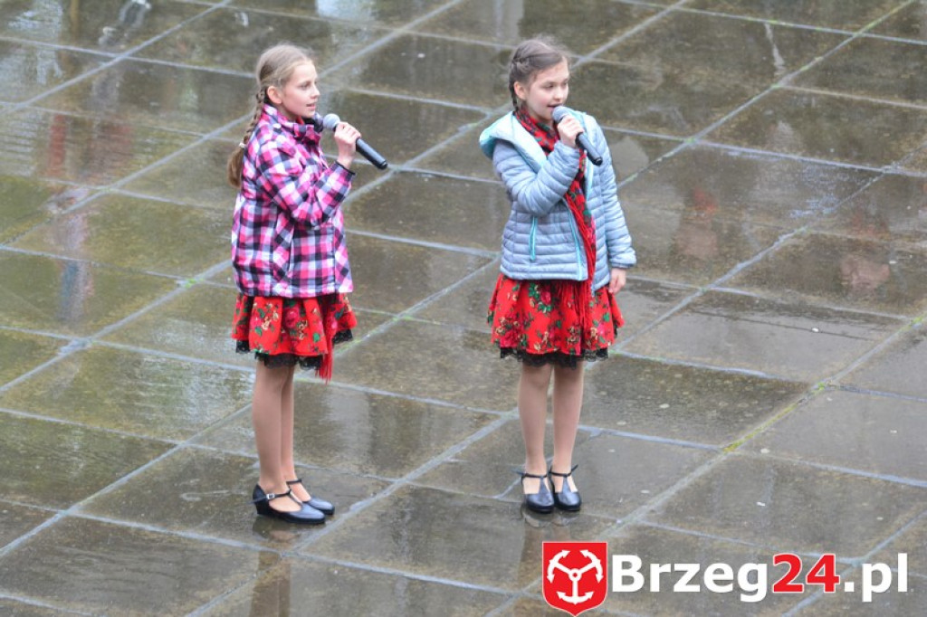 Dni Księstwa Brzeskiego 2017 - dzień trzeci - Święto Flagi RP [FOTORELACJA]