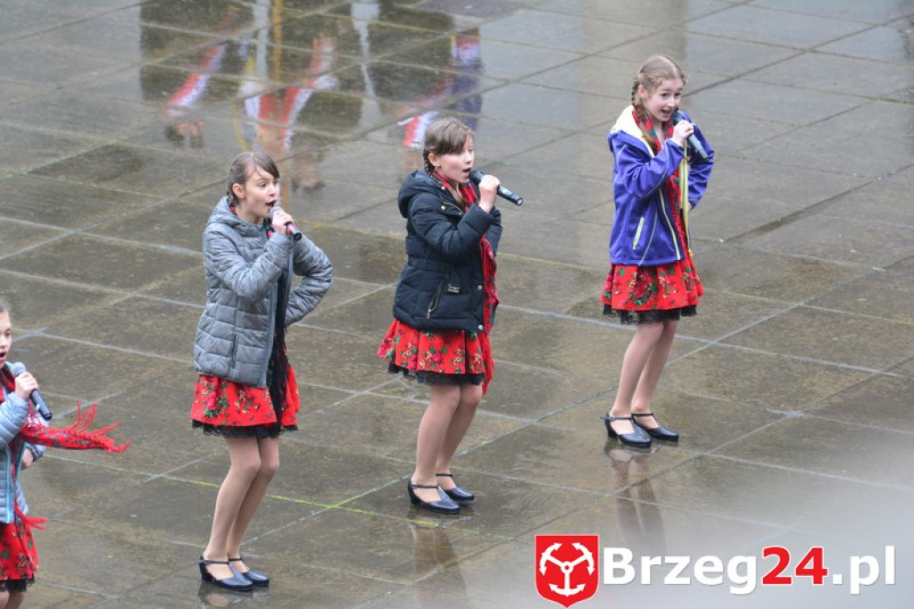 Dni Księstwa Brzeskiego 2017 - dzień trzeci - Święto Flagi RP [FOTORELACJA]