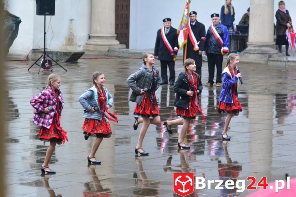 Dni Księstwa Brzeskiego 2017 - dzień trzeci - Święto Flagi RP [FOTORELACJA]