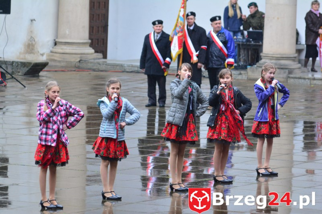 Dni Księstwa Brzeskiego 2017 - dzień trzeci - Święto Flagi RP [FOTORELACJA]