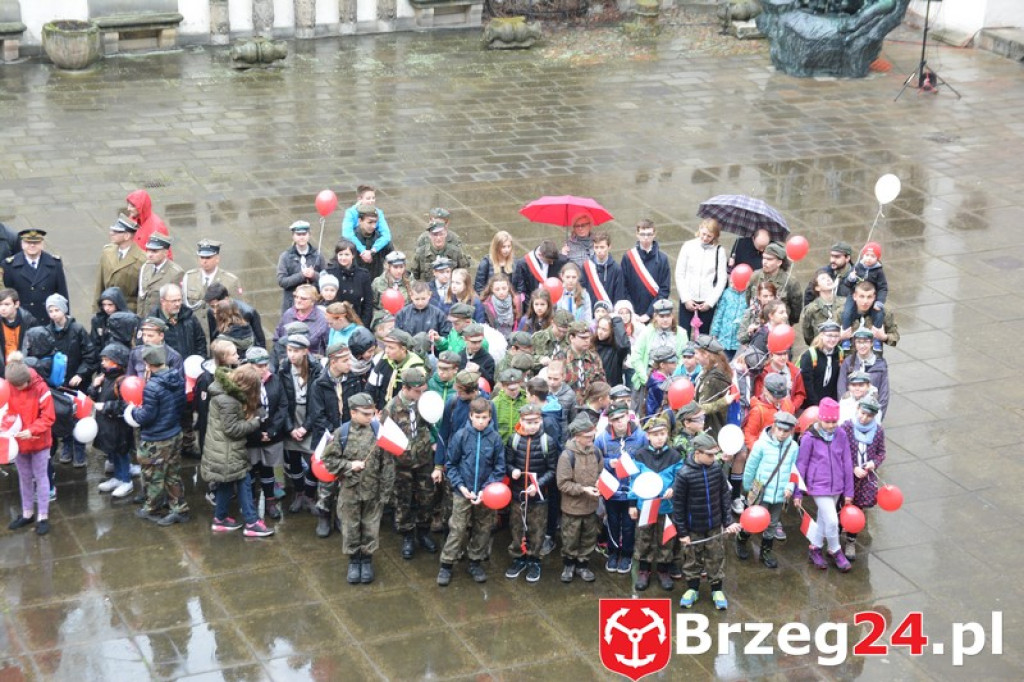 Dni Księstwa Brzeskiego 2017 - dzień trzeci - Święto Flagi RP [FOTORELACJA]