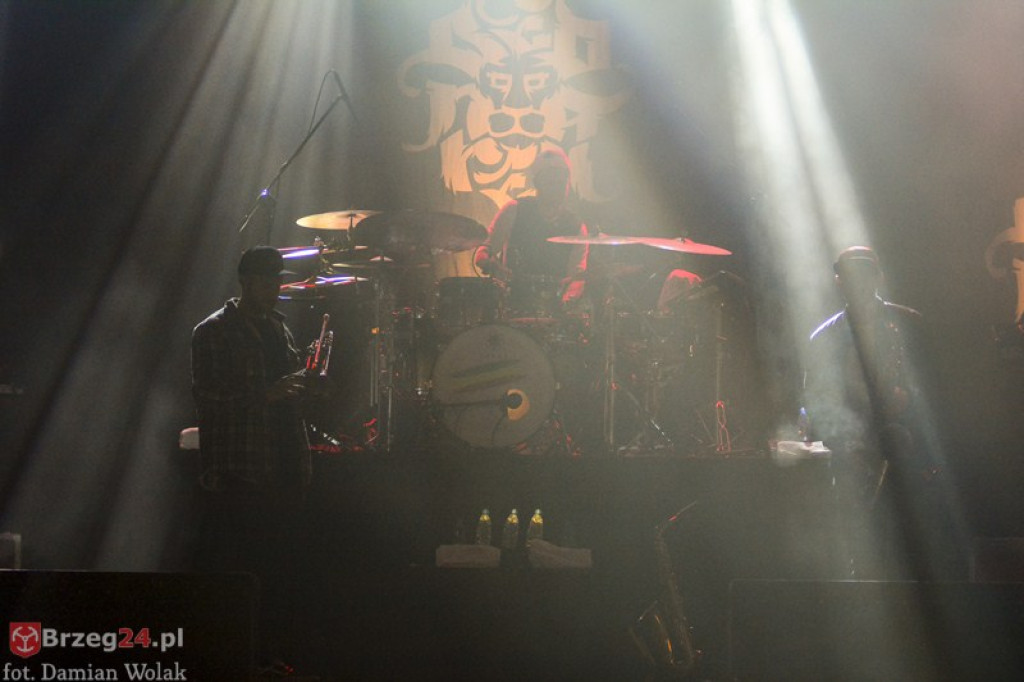 Dni Księstwa Brzeskiego - dzień 3. Koncert Kamila Bednarka. [fotorelacja]