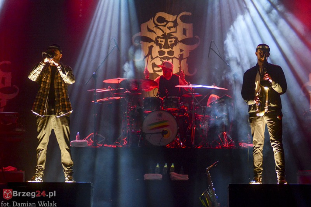 Dni Księstwa Brzeskiego - dzień 3. Koncert Kamila Bednarka. [fotorelacja]