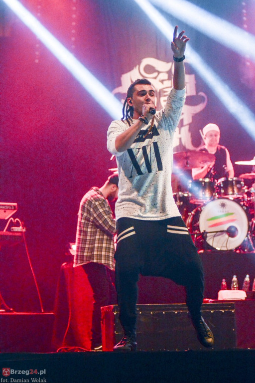 Dni Księstwa Brzeskiego - dzień 3. Koncert Kamila Bednarka. [fotorelacja]