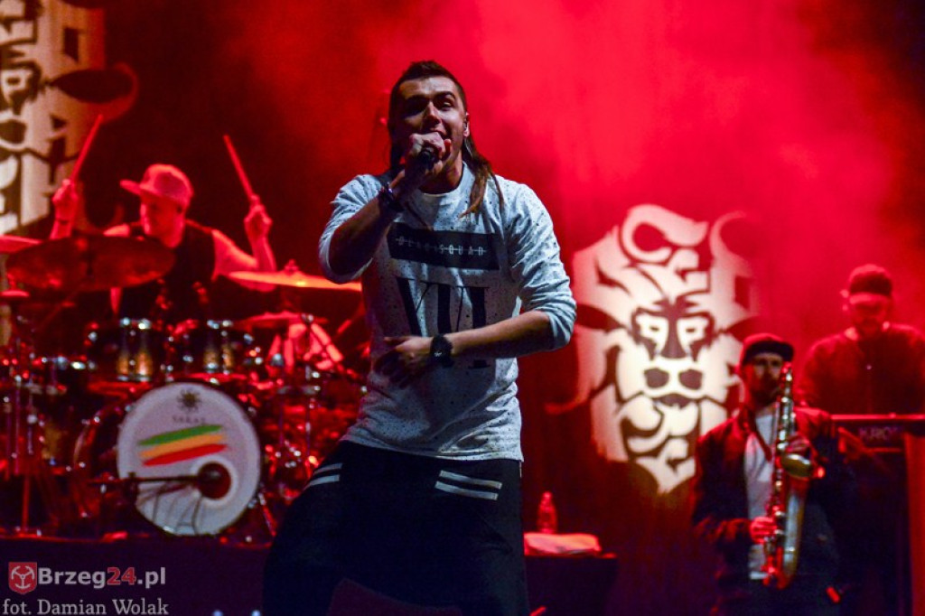 Dni Księstwa Brzeskiego - dzień 3. Koncert Kamila Bednarka. [fotorelacja]