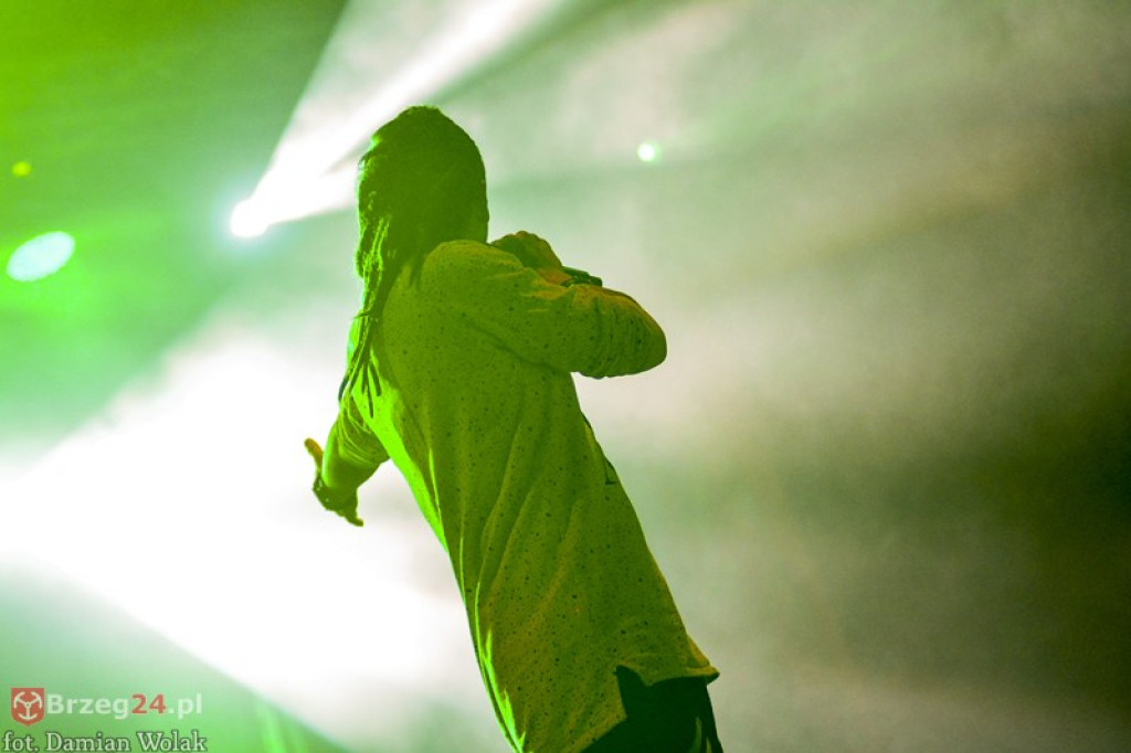 Dni Księstwa Brzeskiego - dzień 3. Koncert Kamila Bednarka. [fotorelacja]