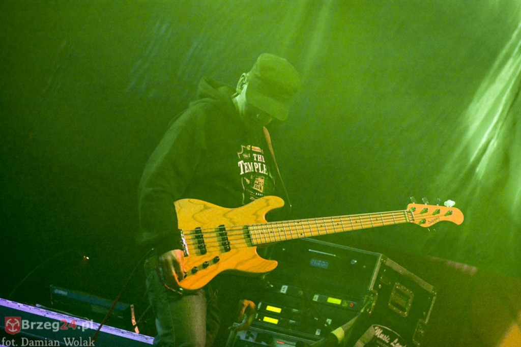 Dni Księstwa Brzeskiego - dzień 3. Koncert Kamila Bednarka. [fotorelacja]