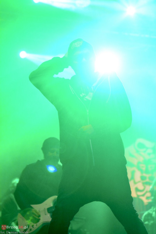 Dni Księstwa Brzeskiego - dzień 3. Koncert Kamila Bednarka. [fotorelacja]