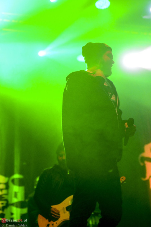 Dni Księstwa Brzeskiego - dzień 3. Koncert Kamila Bednarka. [fotorelacja]