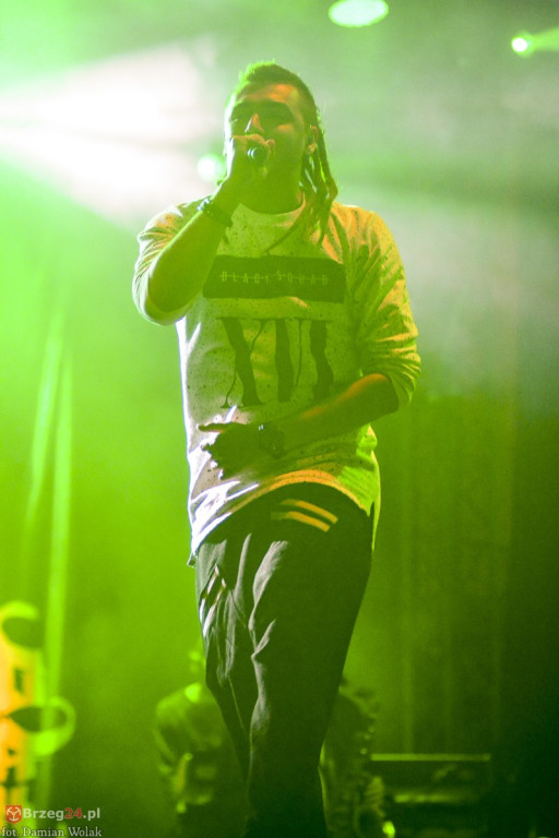 Dni Księstwa Brzeskiego - dzień 3. Koncert Kamila Bednarka. [fotorelacja]