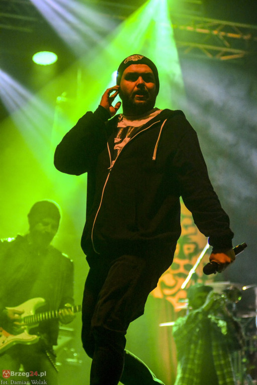 Dni Księstwa Brzeskiego - dzień 3. Koncert Kamila Bednarka. [fotorelacja]