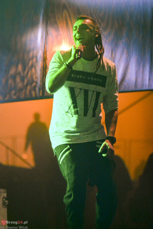 Dni Księstwa Brzeskiego - dzień 3. Koncert Kamila Bednarka. [fotorelacja]