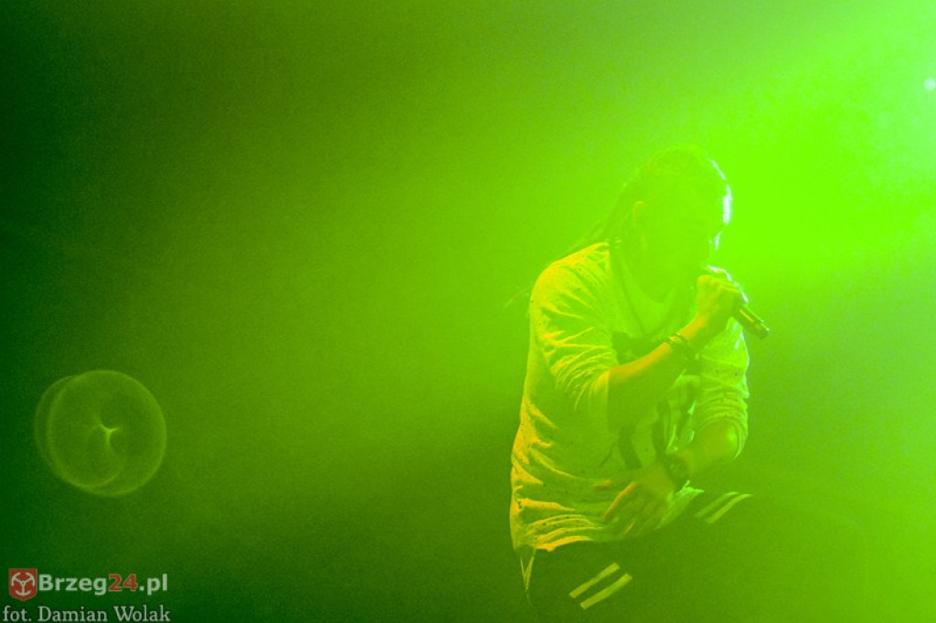 Dni Księstwa Brzeskiego - dzień 3. Koncert Kamila Bednarka. [fotorelacja]