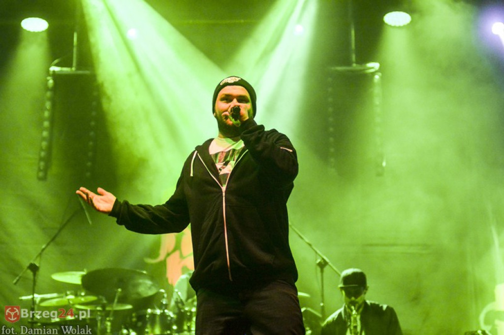 Dni Księstwa Brzeskiego - dzień 3. Koncert Kamila Bednarka. [fotorelacja]