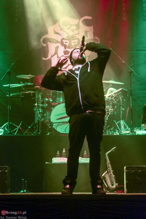 Dni Księstwa Brzeskiego - dzień 3. Koncert Kamila Bednarka. [fotorelacja]